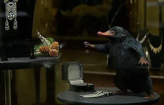 神奇动物在哪里 Fantastic Beasts and Where to Find Them2016剧照1
