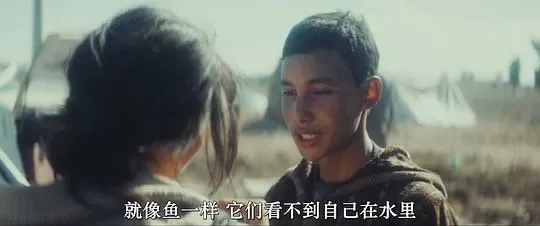 动物界2023剧照1