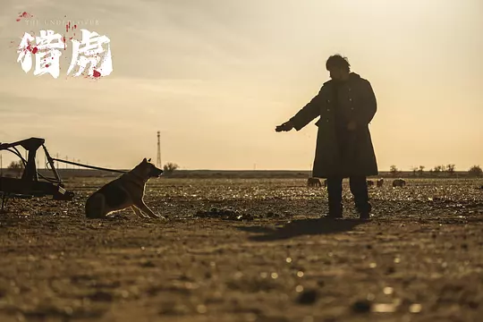 猎虎2025剧照3