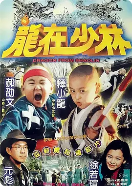 龙在少林 龍在少林（1996） 海报