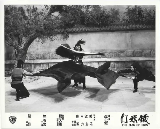 铁旗门 鐵旗門1980剧照1