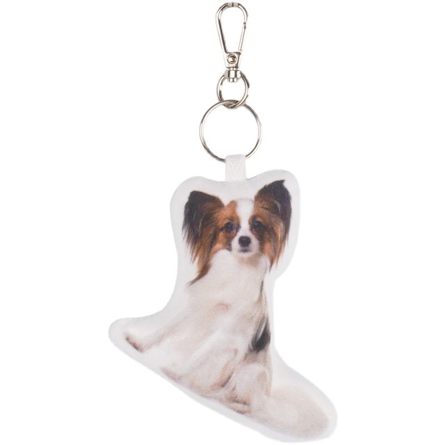 Customized cat pet doll keychain with picture, customized ຖົງໂຮງຮຽນ, doll pendant, diy ໂທລະສັບມືຖືຕ່ອງໂສ້ຫ້ອຍກັບຮູບຫມາ