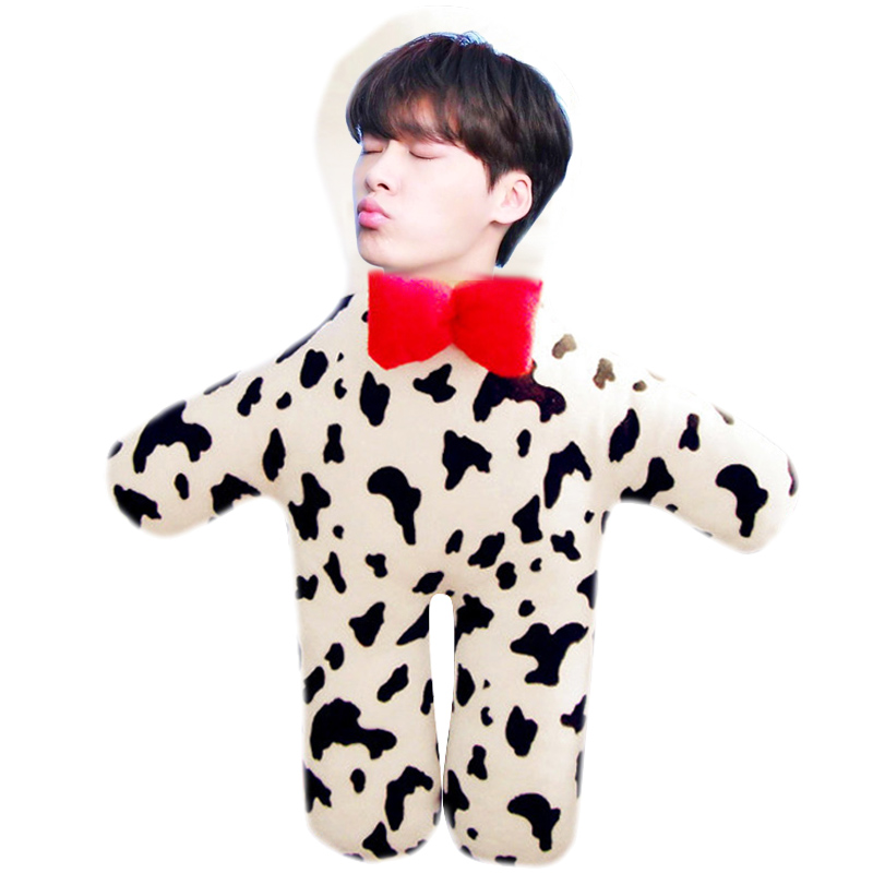 Diy Custom Boyfriend Pillow Li Yifeng And Other Body Doll Plush