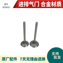 Air-cooled diesel engine micro tiller accessories 170F 173F 178F 186FA 188F 192F Intake and exhaust valve
