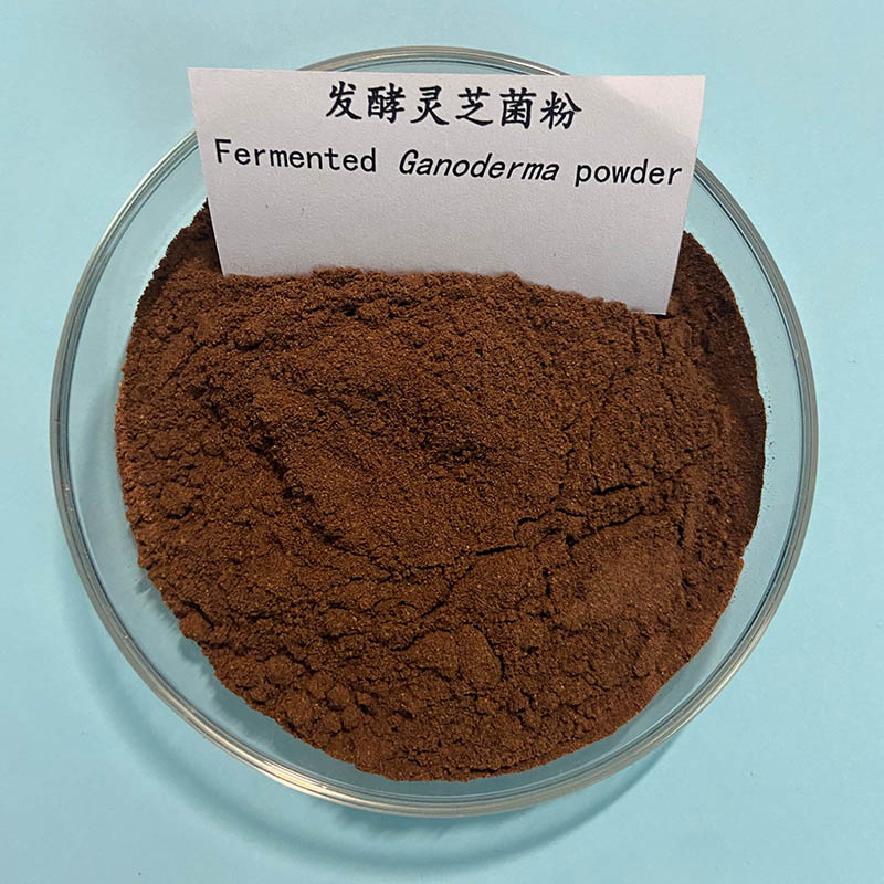 Ganoderma Lucidum Mushroom Powder Ganoderma Lucidum Mycelium Powder 250g Immune Boosting Fermented Ganoderma Lucidum Powder 3 get 1 Free
