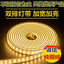 Super bright LED light strip living room ceiling double row three-color dimming outdoor waterproof 220V household soft light strip light strip