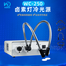 Halogen lamp cold light source 24V250W double bifurcated hard single hose ring fiber positive white warm white condenser