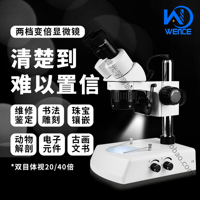 双目体视显微镜20X 40X两档变倍ST6024B2斜射上下光源10X 20X