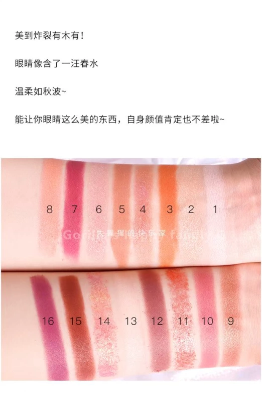 Phấn mắt Feiluer 16 Màu Matte Pearlescent Desert Rose Super Flash Flash Fairy Earth Color Eyeshadow Palette - Bóng mắt