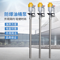 Explosion-proof stainless steel portable 220V electric oil pumping pump with oil pump oil barrel pump oil pump oil pump oil pumping