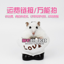 (Mansion House) Hamster Commune Freight Link Remake Postage postage and merchandise supplement Not single shot