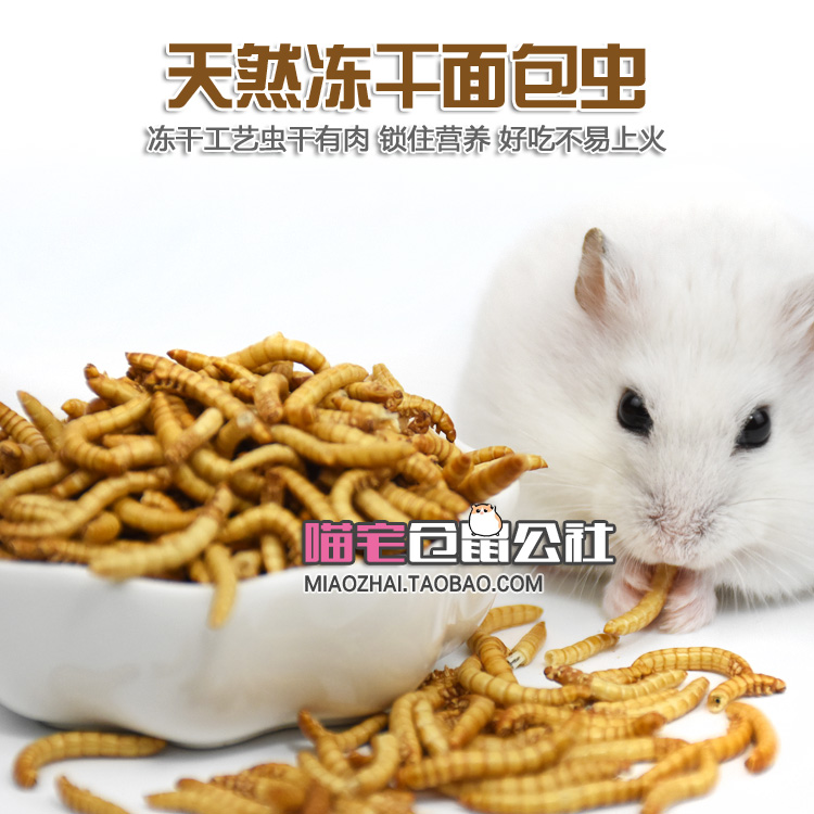 (Meow House) Hamster Snacks Natural Freeze-dried Bread Worm Drying High Protein Nutrient Golden Silk Bear Small Darling Food