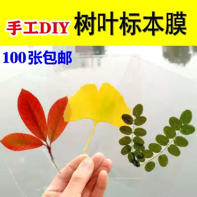Leaf specimen film Plastic sealing film cold laminating film a3a4a6 manual DIY production photo plant bookmark cold laminating film 6 inches