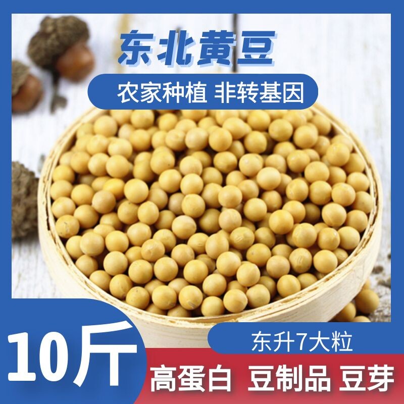 New Northeast New Heilongjiang Big grain soybean soybean farmers self-bred bean sprouts to beat soy milk 10 kg soy milk bean sprouts