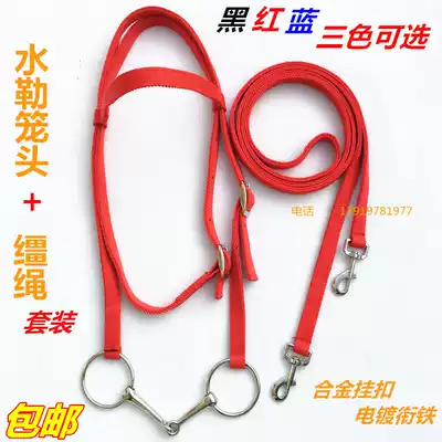 Bridle, water, chew, mouth, armature, water, horse cover, horse cover, horse riding bridle, training cage cover