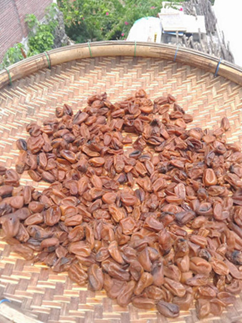 Guangdong Terproduce Yellow Leather Fruits Dry Bulk Original Taste No Additives Pregnant Women Children Snacks 2021 New Products