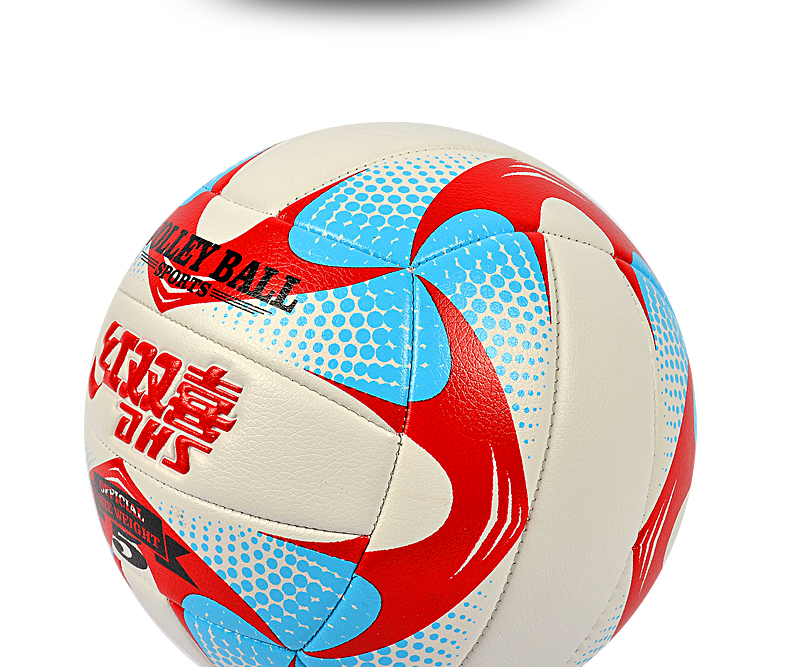 Ballon de volley - Ref 2008036 Image 8
