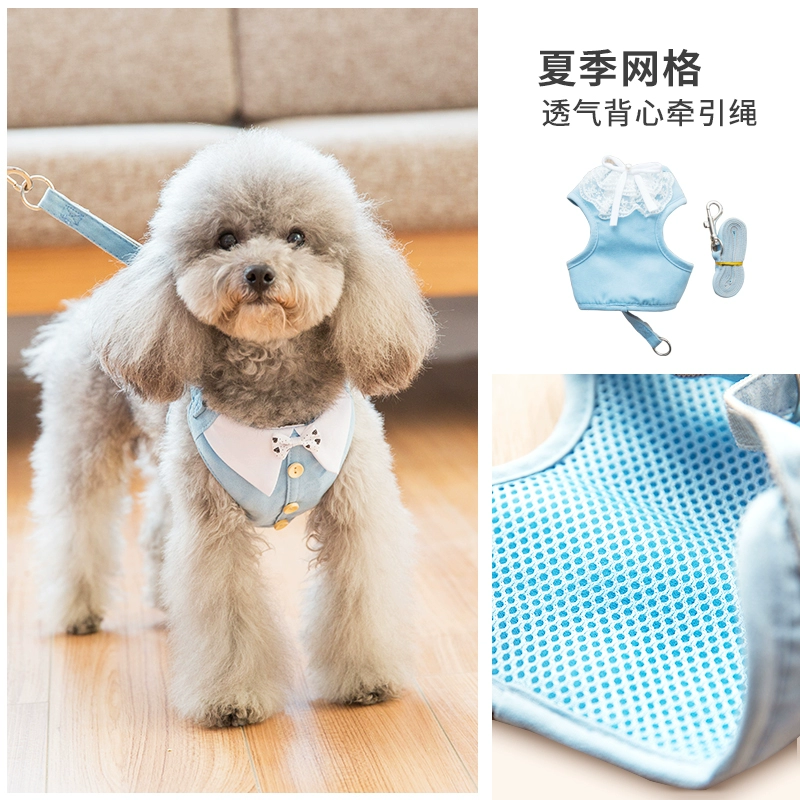 Teddy puppy dog ​​chuỗi vest phong cách chó dây xích cỡ trung bình chó nhỏ dây chó đi bộ dây chó - Cat / Dog hàng ngày Neccessities