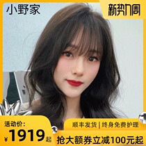  Ono family wig female short hair air bangs Xin Zhilei same extroversion short curly hair round face net red real hair set