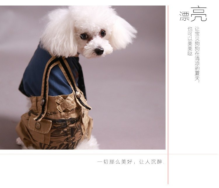 Quần áo thú cưng giặt quần yếm denim Quần áo chó Teddy gấu Xiong VIP Golden Retriever quần áo chó mùa xuân và quần áo mùa hè - Quần áo & phụ kiện thú cưng quần áo chó poodle