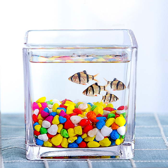 Small fish tank aquarium living room small desktop creative home crystal glass ecological mini goldfish tank square