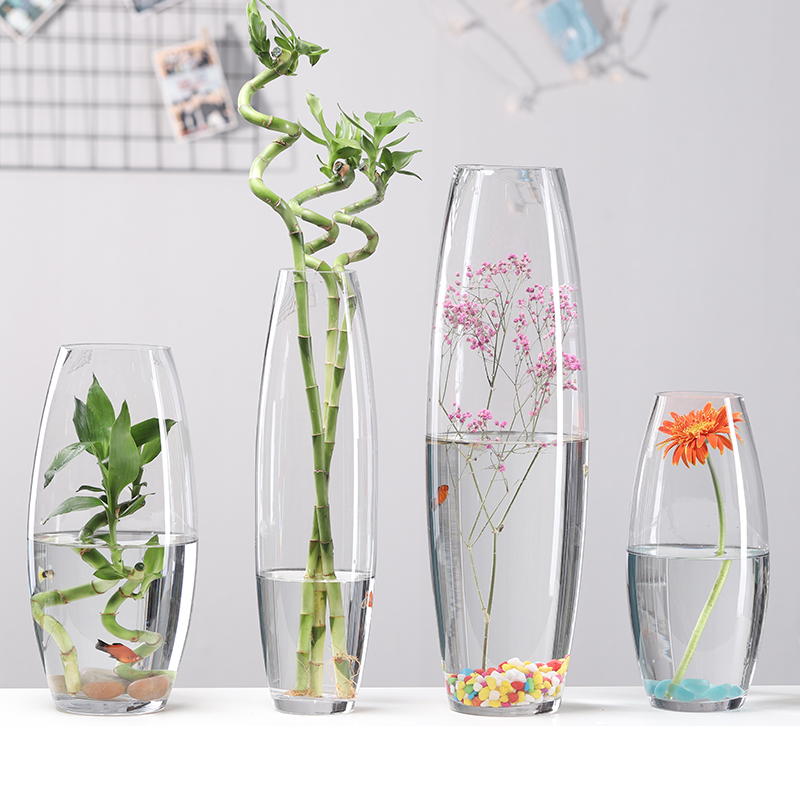 Transparent glass vase creative shell shaped inclined mouth dry flower floral floral floral living-room rich in rich bamboo decoration hem