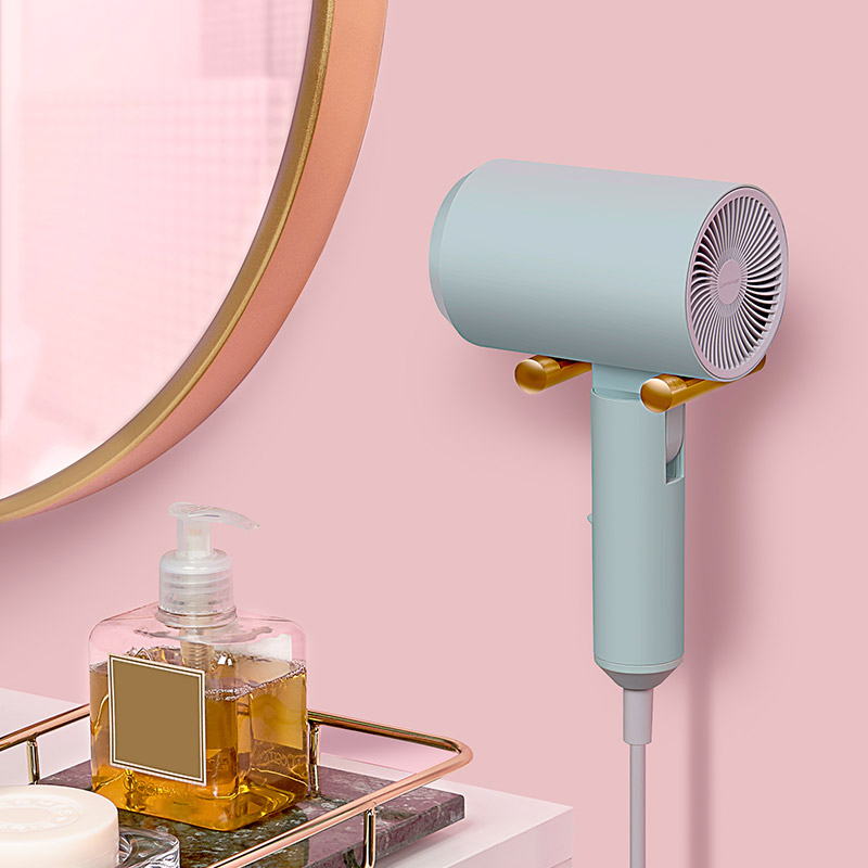 Lowra Rouge Roller Home Air Outlet Low Radiant Hair Dryer Cold Hot Air Negative Ion Hairdryer Gift Box