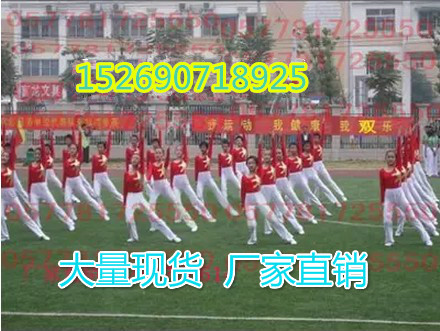 Boys and girls aerobics clothing primary school students radio gymnastics performance clothing fitness clothing children long sleeve competition suit