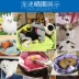 Teddy kennel bốn mùa phổ biến có thể tháo rời s-nhỏ và trung bình búp bê Bomeiji có thể tháo rời và có thể giặt được mùa hè - Cat / Dog hàng ngày Neccessities