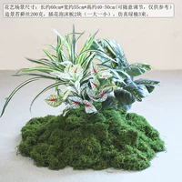 Набор зеленых растений своими руками G-(простая установка)