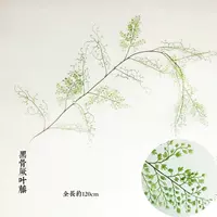 Черная кость Jueye