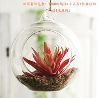 Арбуз красный один один 12см шариковой набор f f