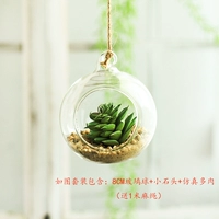 Комплект, 8см