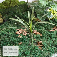 Мягкая орхидея в одном букете