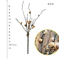 Грибная ветвь