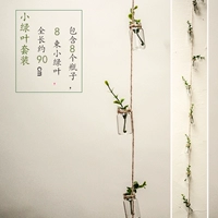 Набор бутылок с зеленым растением