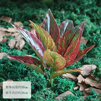 Один пучок листьев магнолии красного цвета.