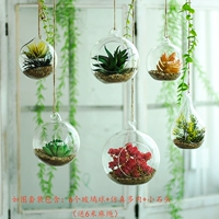 6 шаров, как показано на рисунке.