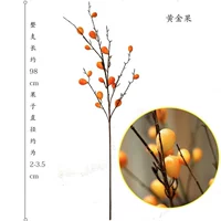 Золотой фрукт