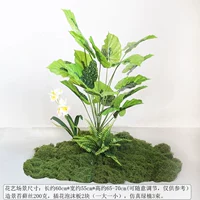 Набор зеленых растений своими руками F-(простая установка)