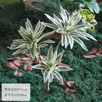 Одиночный букет из 3-х Lucky Lily Bamboo-желтый.