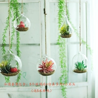 Как показано на рисунке первым (5 целей)