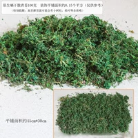 Мох натуральный вяленый рыхлый 100г.