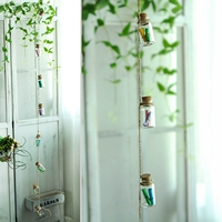 Комплект, бутылка, 8 шт, 16 шт