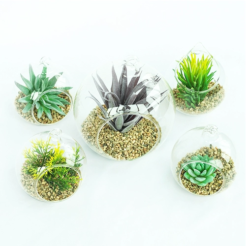 Симуляция сочного растения детского сада для кольца