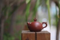 Sheathbo Xiongji Chicken Chronicle Lunar New Year of the Year of the Chicken Chaozhou Son Full Handmade Teapot of Xie Hua Son