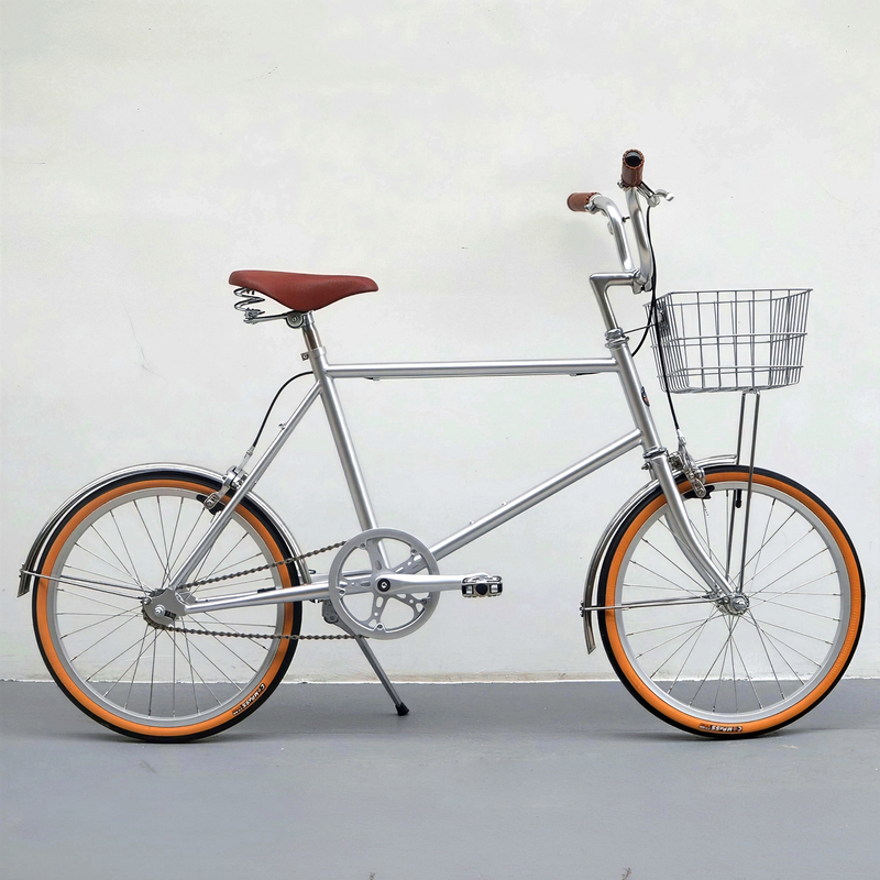 Daydaybike 20inch Silver Retro Small Wheel Bike Unisex Lightweight Bicycle for Urban Commuting