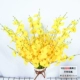 短款黄色10支 不含花瓶