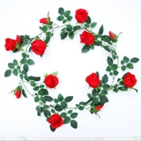 Моделирование завода поддельная виноградная лоза Палочная виноградная лоза. Окрашивание воздуха.