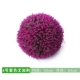 Ugari Grass Ball Purple (45 см)